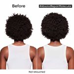 L'Or&eacute;al Professionnel Serie Expert Absolut Repair Molecular Shampoo 1500ml
