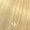 Very Light Blonde 9/