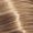 12/03 Special Blonde Natural Gold