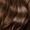 Medium Brown