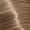 9.31 very light blonde gold ash