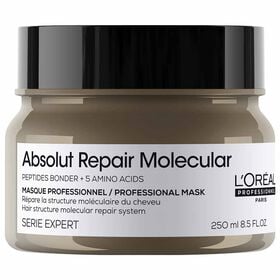 L'Or&eacute;al Professionnel Serie Expert Absolut Repair Molecular Mask 250ml