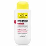 Yellow Professional Color Care Maintenance Conditioner 500ml
