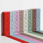 Schwarzkopf Professional Igora Royal Highlifts Permanent Hair Colour - 10-1 Ultra Blonde Cendr&eacute; 60ml