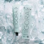 Schwarzkopf Professional Igora Royal Highlifts Permanent Hair Colour - 10-1 Ultra Blonde Cendr&eacute; 60ml