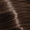4G CHESTNUT