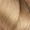 10 Fundamental