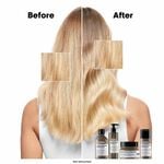 L'Or&eacute;al Professionnel Serie Expert Absolut Repair Molecular Mask 500ml