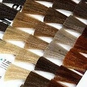 Colour Charts