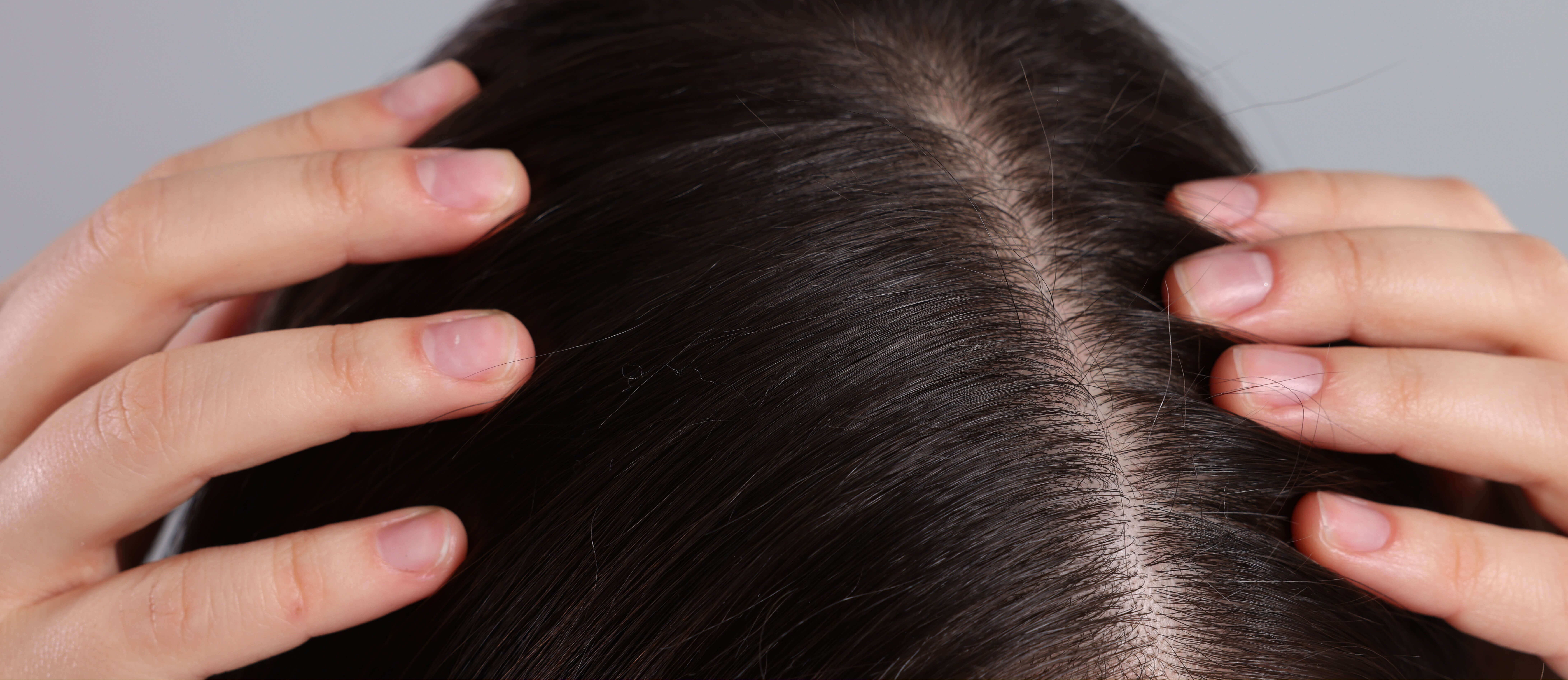 cover grey hairs