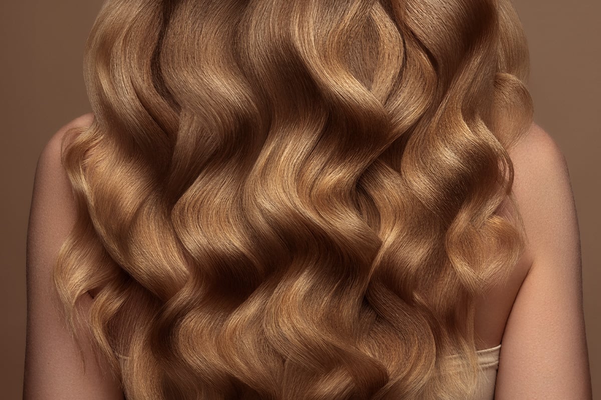 About Wildest Dreams Extensions